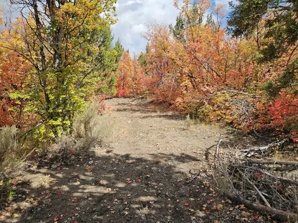 Fairview, UT 84629,16 E LAKE FORK DR S #16