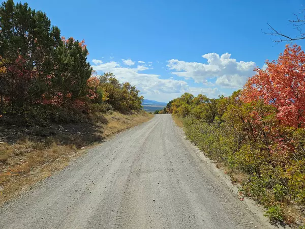 Fairview, UT 84629,30 E ELK SPRINGS DR S #30