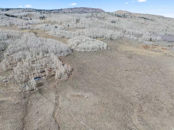 Fish Lake, UT 84701,#7