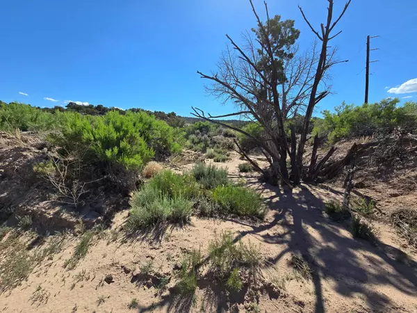 Duchesne, UT 84021,#2-G