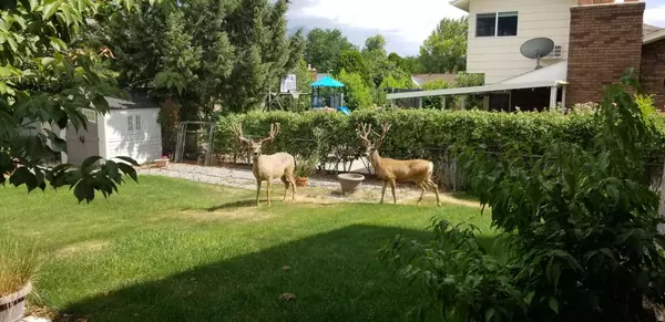 Orem, UT 84097,386 N 1100 E