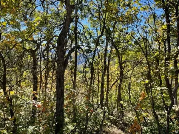 Springville, UT 84663,107 WHITTEMORE DR #107