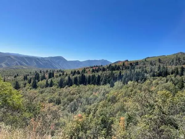 Springville, UT 84663,107 WHITTEMORE DR #107