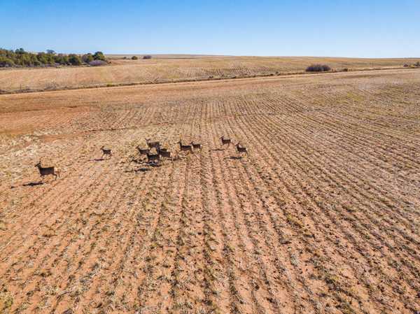 Monticello, UT 84535