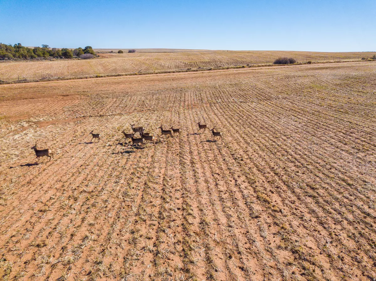 Monticello, UT 84535