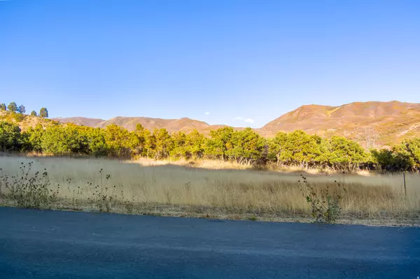 Springville, UT 84663,151 S MEADOW DR E #19