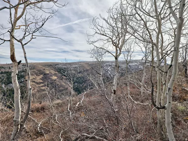 1 SEE DIRECTIONS, Scofield, UT 84526