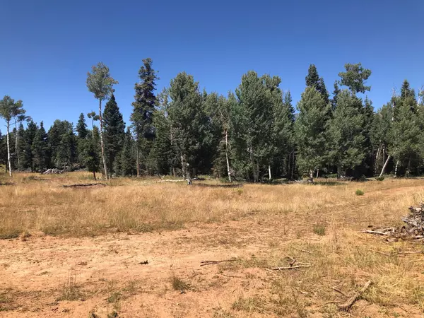 Duck Creek Village, UT 84762,NORTH FORK RD S