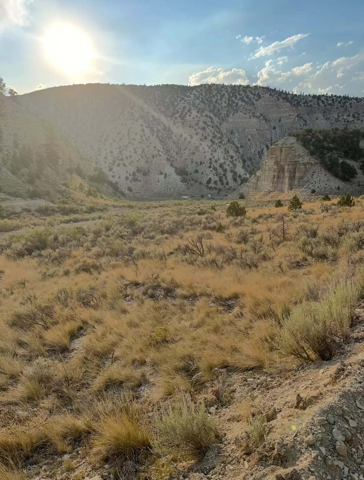 Duchesne, UT 84021,1 TRAIL HOLLOW RD #1