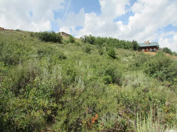 Garden City, UT 84028,1234 LAKEVIEW DR #64