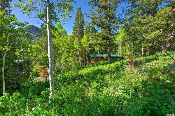 9428 E ELK HAVEN RD #217, Brighton, UT 84121