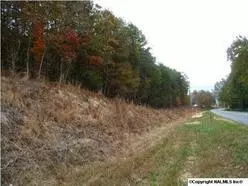 00 N Highway 11, Valley Head, AL 35989