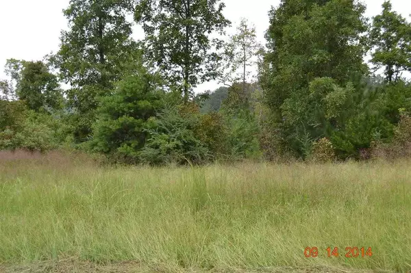 Crane Hill, AL 35053,County Road 922 #Lot 5