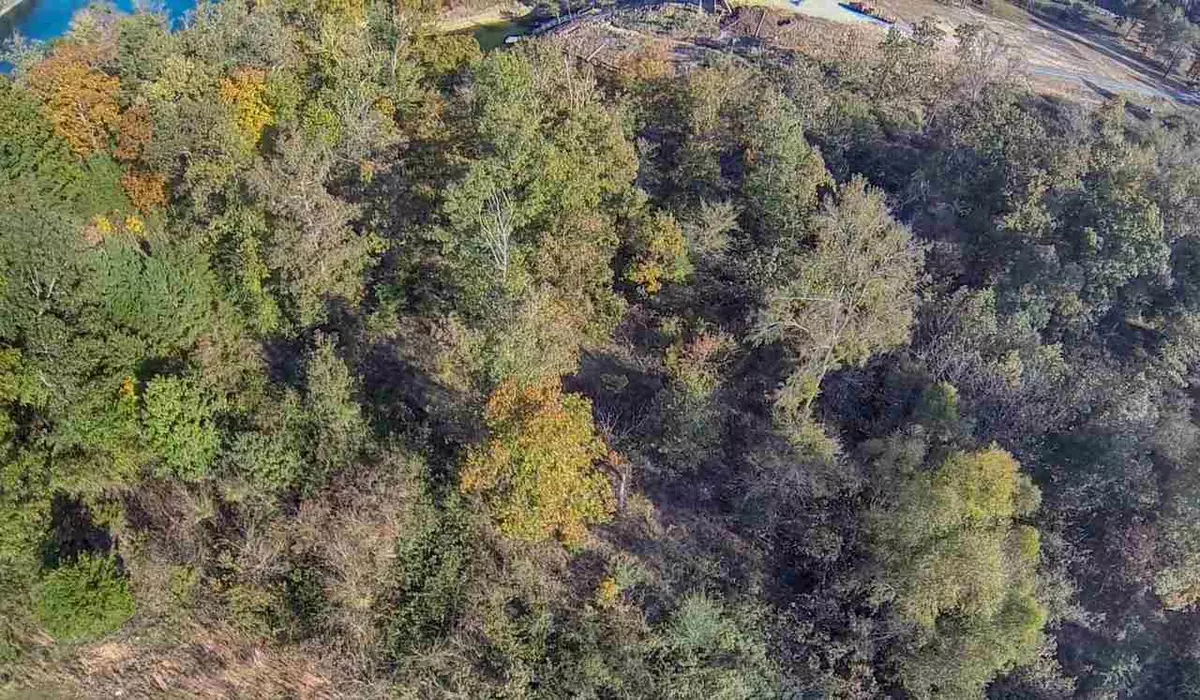 Cullman, AL 35057,Lot 22 County Road 113