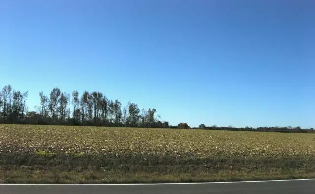 Toney, AL 35773,1 Pulaski Pike