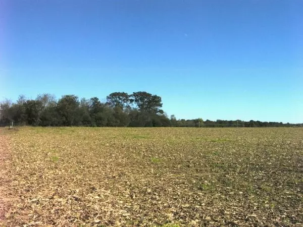 Toney, AL 35773,1 Pulaski Pike