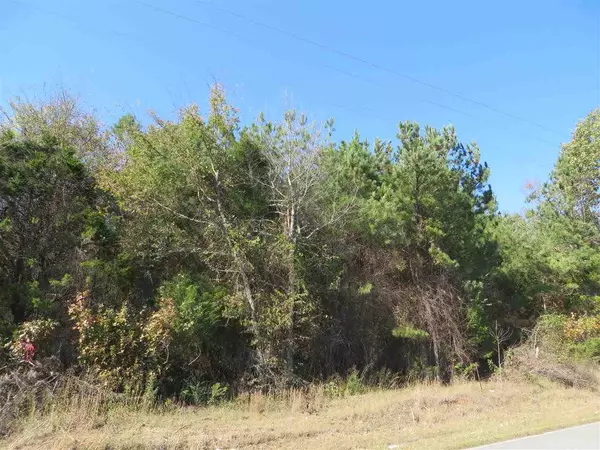 Falkville, AL 35622,Nat Key Road