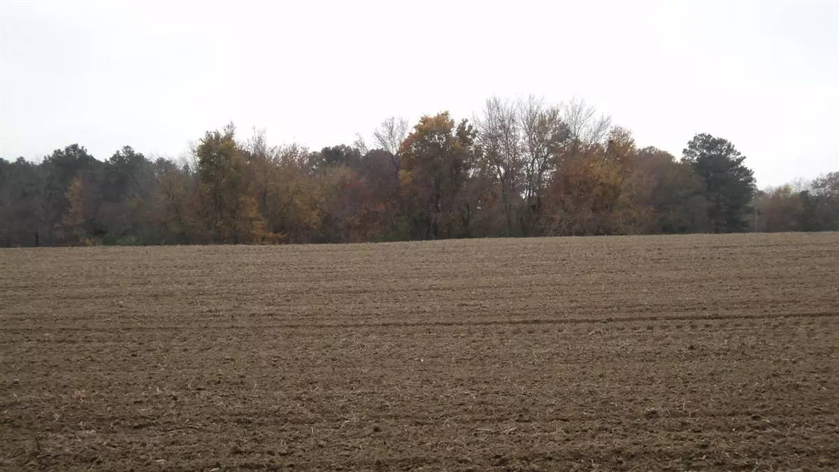 Rainsville, AL 35986,Barry Street