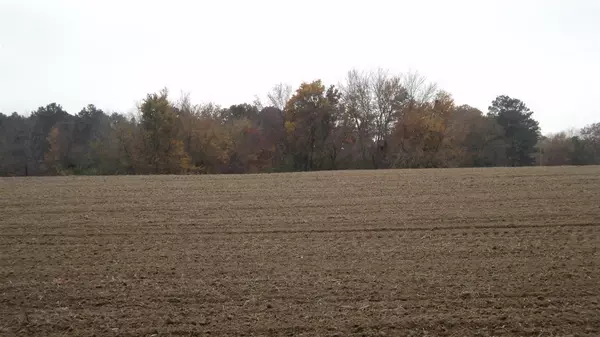 Barry Street, Rainsville, AL 35986