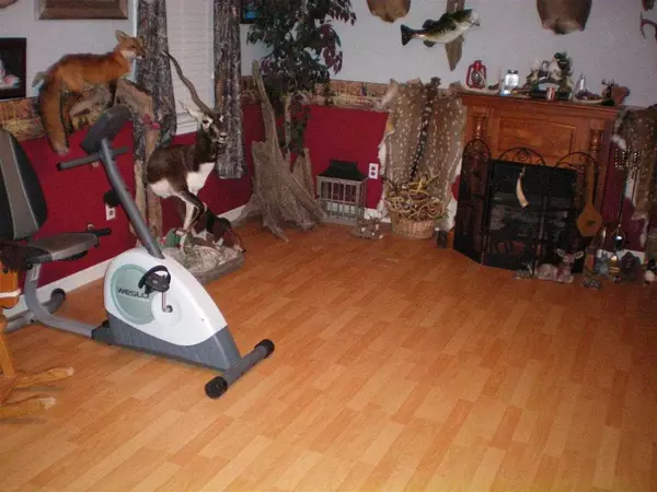 Rainsville, AL 35986,244 Vista View Drive