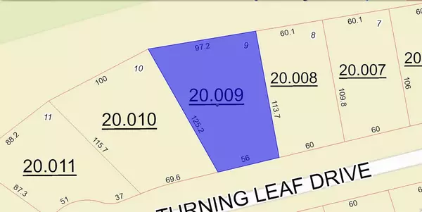 Union Grove, AL 35175,Lot 9 Turning Leaf Drive