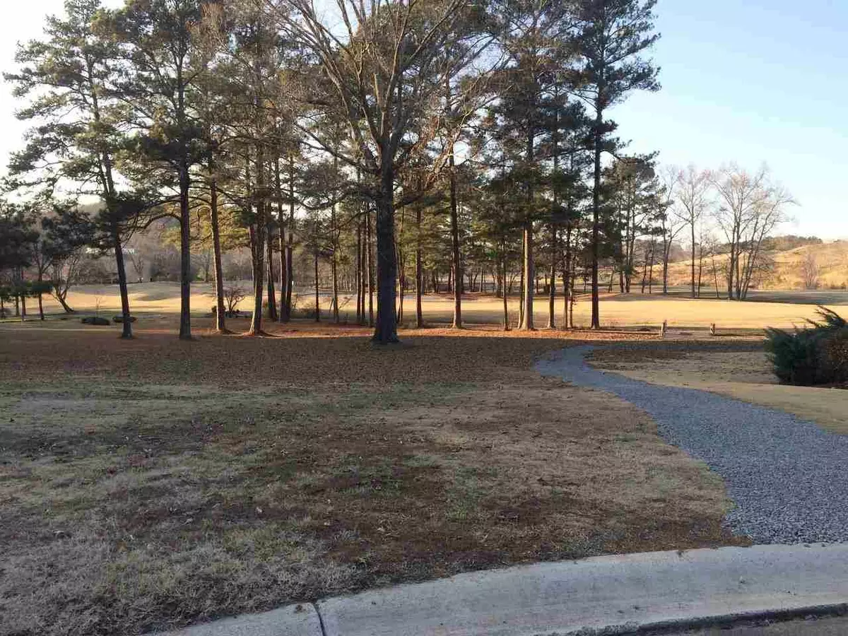 Union Grove, AL 35175,Lot 12 Turning Leaf Drive