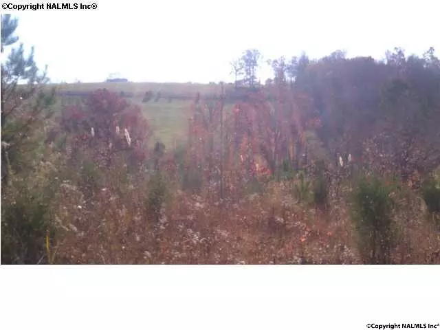 Goodspring, TN 38460,304 Fox Hollow Road