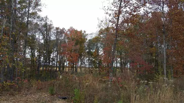 0 Cricket Hill Road, Flintville, TN 37335