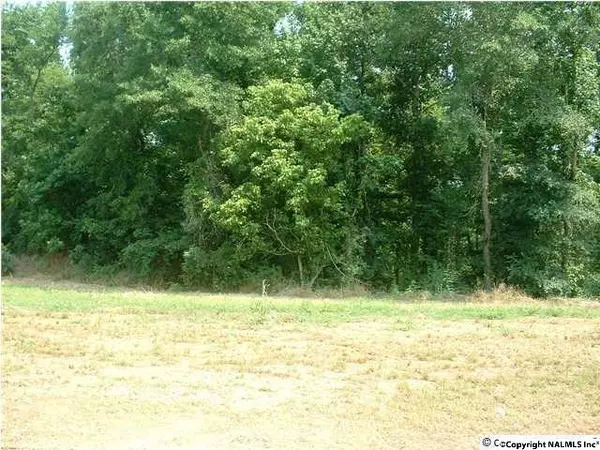 Hazel Green, AL 35750,0 Fawn Brook Drive