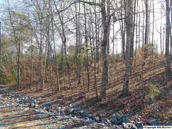 Evangel Circle,  Guntersville,  AL 35976