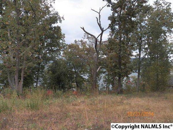 Scottsboro, AL 35769,LOT 74 Promenade