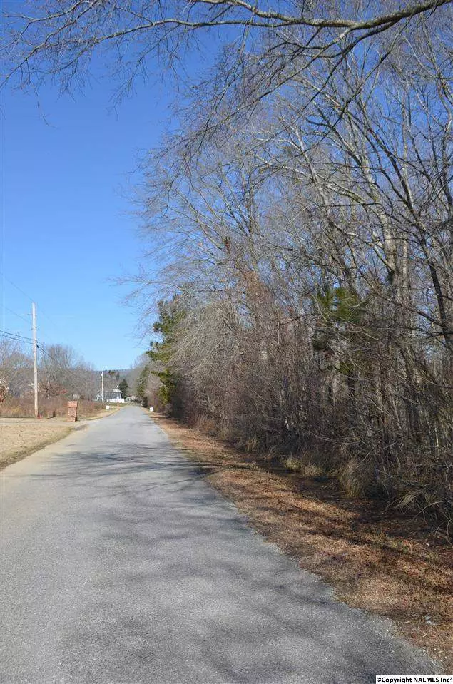 Southside, AL 35907,Lot 11 Riverchase Drive