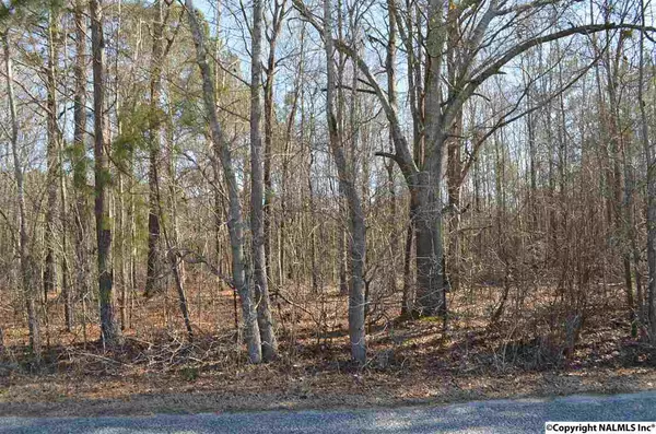 Lot 13 Riverchase Drive, Southside, AL 35907