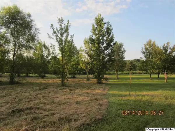 Centre, AL 35960,Lot #7 County Road 418