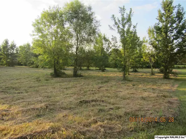 Centre, AL 35960,Lot #7 County Road 418