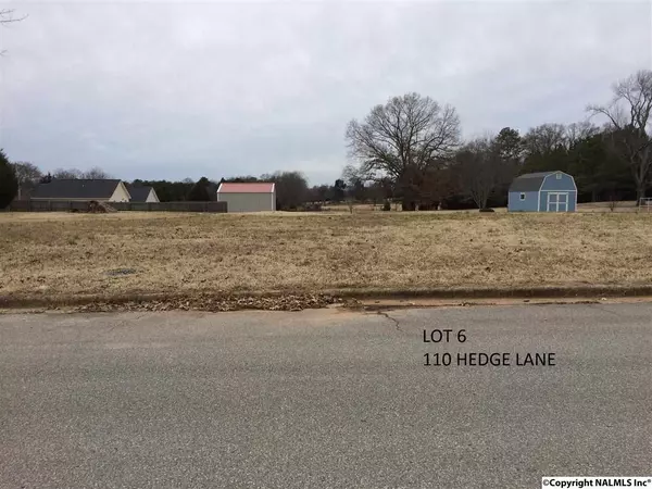 110 Hedge Lane, New Market, AL 35761