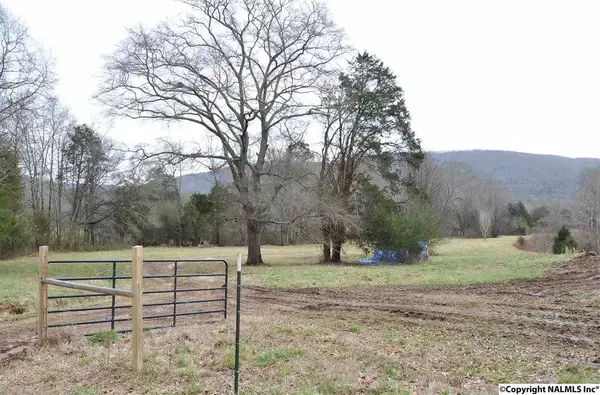 Paint Rock, AL 35764,1751 County Road 1