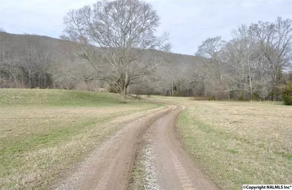 Paint Rock, AL 35764,1751 County Road 1