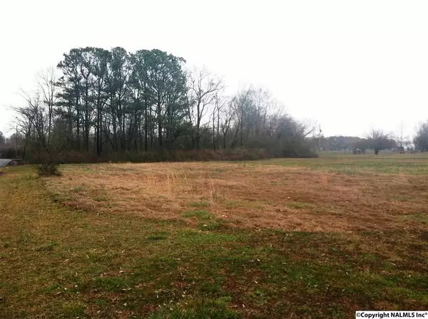 Off Rainbow Avenue, Rainsville, AL 35986