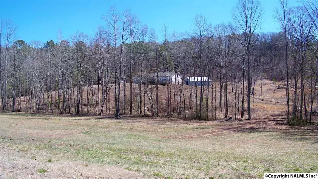 1815 Vaughn Road, Altoona, AL 35952