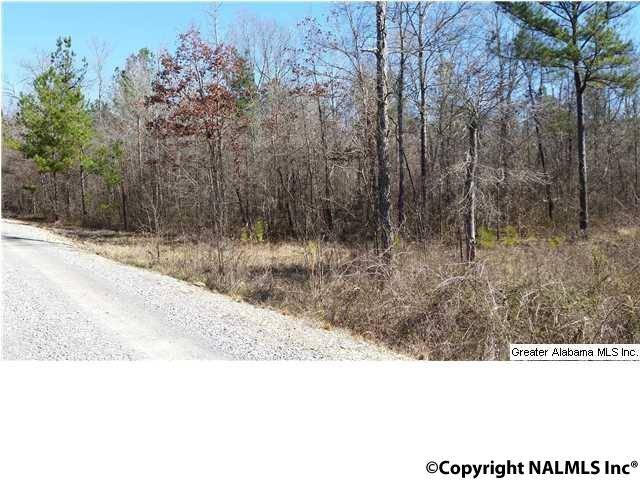 Ashville, AL 35953,Slasham Road