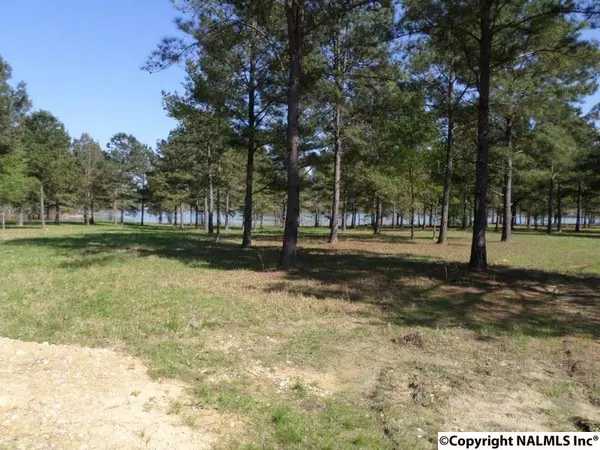 3 Summer Breeze Drive,  Cedar Bluff,  AL 35959