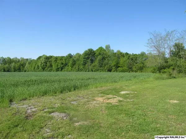 New Hope, AL 35760,000 Paint Rock Road