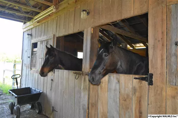 Toney, AL 35773,143 Dollywood Drive