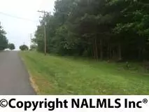 Rainsville, AL 35986,00 Wade Street