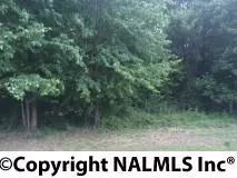 Rainsville, AL 35986,00 Wade Street