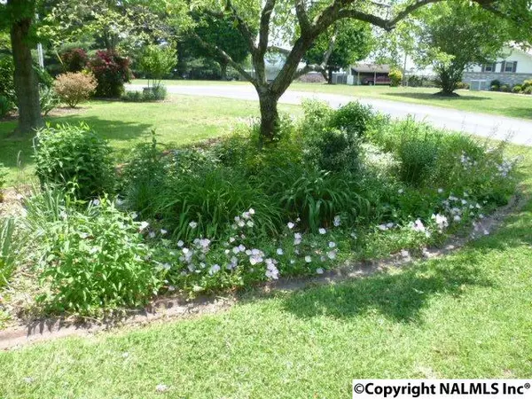 Rainsville, AL 35986,86 Mims Street