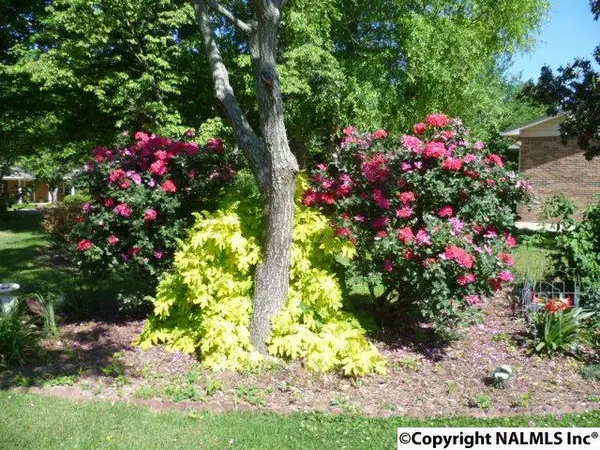 Rainsville, AL 35986,86 Mims Street