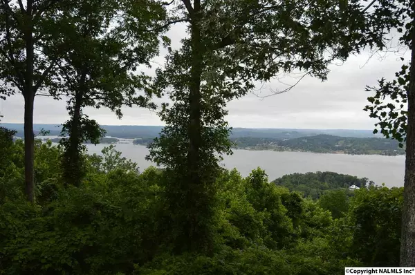 Guntersville, AL 35976,5008 Neely Avenue