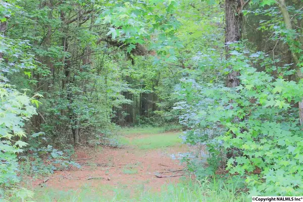 Ardmore, AL 35739,3353 Ready Section Road